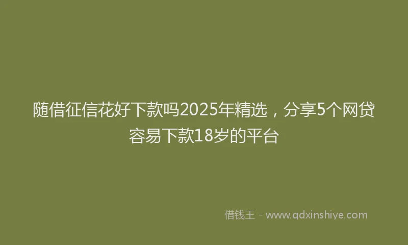 随借征信花好下款吗2025年精选，分享5个网贷容易下款18岁的平台