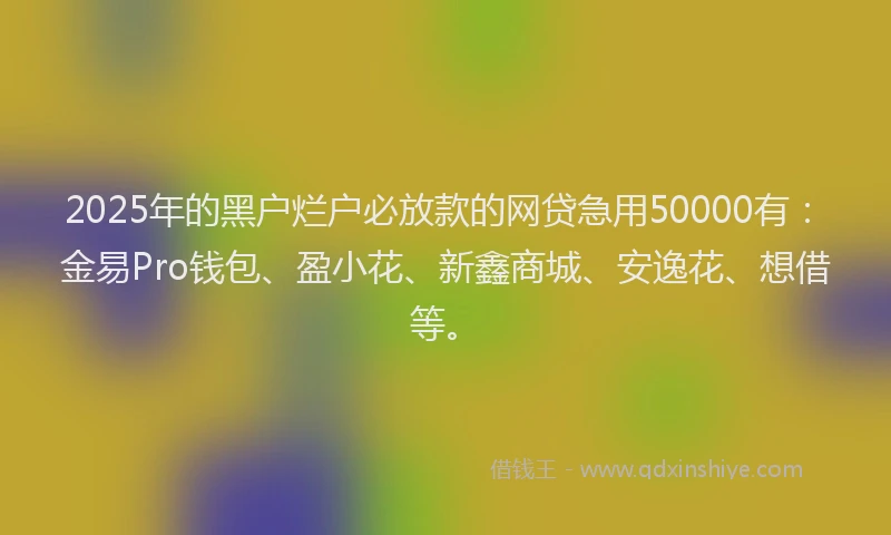 2025年的黑户烂户必放款的网贷急用50000有：金易Pro钱包、盈小花、新鑫商城、安逸花、想借等。