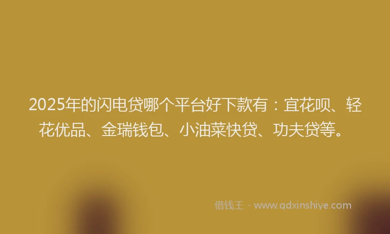 2025年的闪电贷哪个平台好下款有：宜花呗、轻花优品、金瑞钱包、小油菜快贷、功夫贷等。