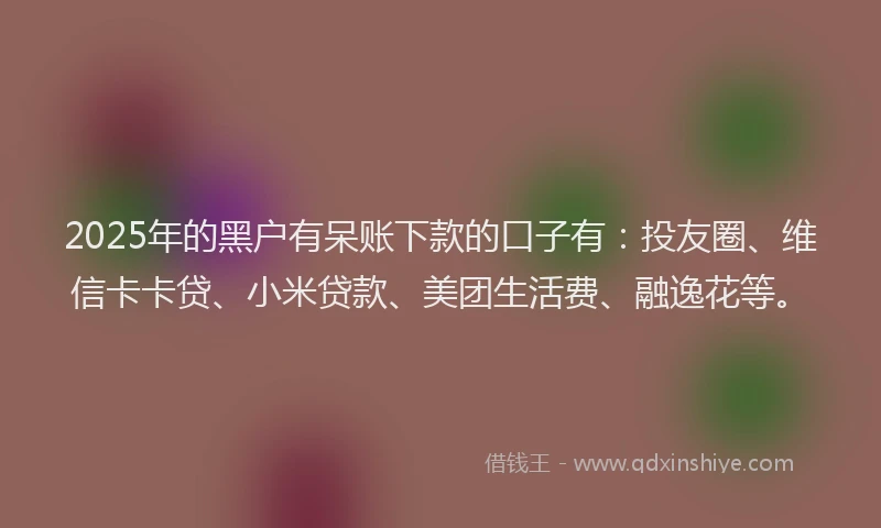 2025年的黑户有呆账下款的口子有：投友圈、维信卡卡贷、小米贷款、美团生活费、融逸花等。