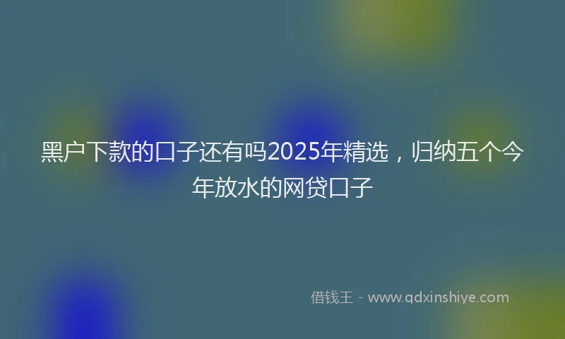 黑户下款的口子还有吗2025年精选，归纳五个今年放水的网贷口子