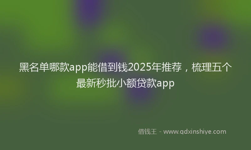 黑名单哪款app能借到钱2025年推荐，梳理五个最新秒批小额贷款app