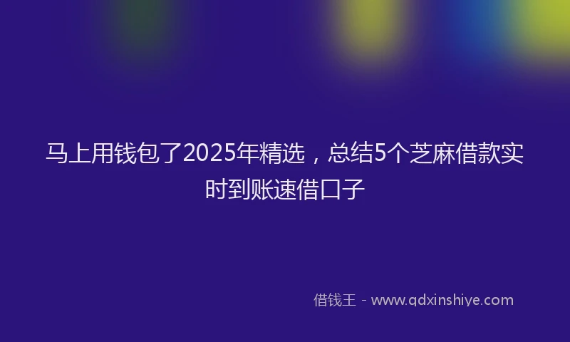 马上用钱包了2025年精选，总结5个芝麻借款实时到账速借口子