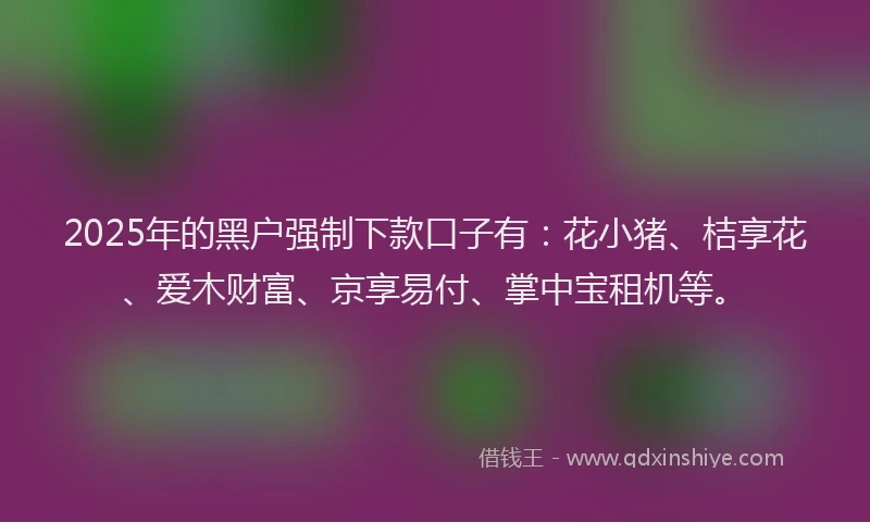 2025年的黑户强制下款口子有：花小猪、桔享花、爱木财富、京享易付、掌中宝租机等。