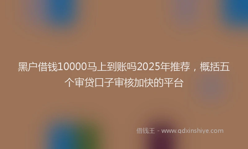 黑户借钱10000马上到账吗2025年推荐，概括五个审贷口子审核加快的平台