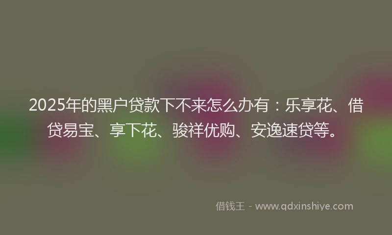 2025年的黑户贷款下不来怎么办有：乐享花、借贷易宝、享下花、骏祥优购、安逸速贷等。