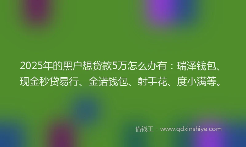 2025年的黑户想贷款5万怎么办有：瑞泽钱包、现金秒贷易行、金诺钱包、射手花、度小满等。