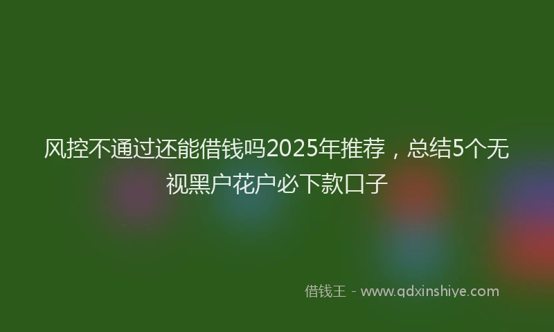 风控不通过还能借钱吗2025年推荐，总结5个无视黑户花户必下款口子