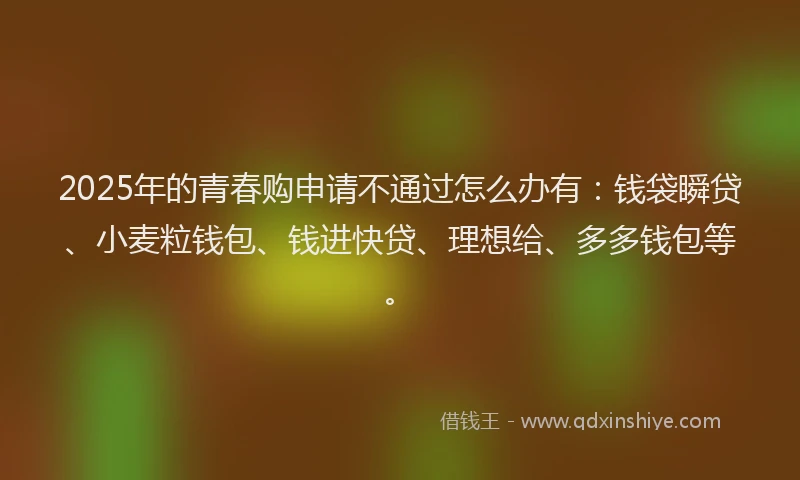 2025年的青春购申请不通过怎么办有：钱袋瞬贷、小麦粒钱包、钱进快贷、理想给、多多钱包等。