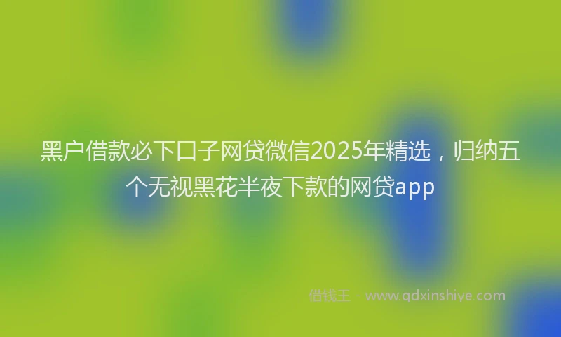 黑户借款必下口子网贷微信2025年精选，归纳五个无视黑花半夜下款的网贷app