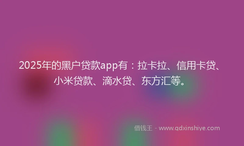 2025年的黑户贷款app有：拉卡拉、信用卡贷、小米贷款、滴水贷、东方汇等。