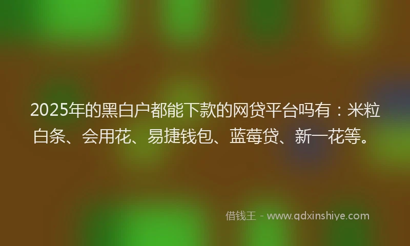 2025年的黑白户都能下款的网贷平台吗有：米粒白条、会用花、易捷钱包、蓝莓贷、新一花等。