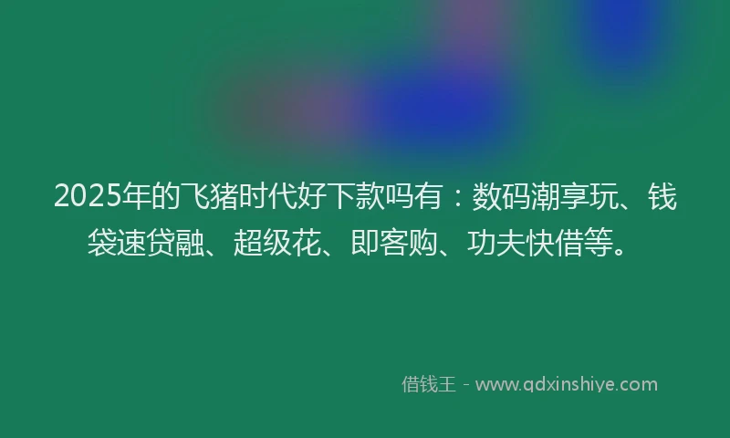 2025年的飞猪时代好下款吗有:数码潮享玩、钱袋速贷融、超级花、即客购、功夫快借等。