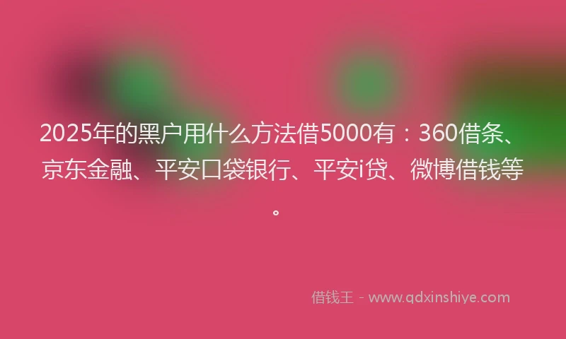 2025年的黑户用什么方法借5000有：360借条、京东金融、平安口袋银行、平安i贷、微博借钱等。