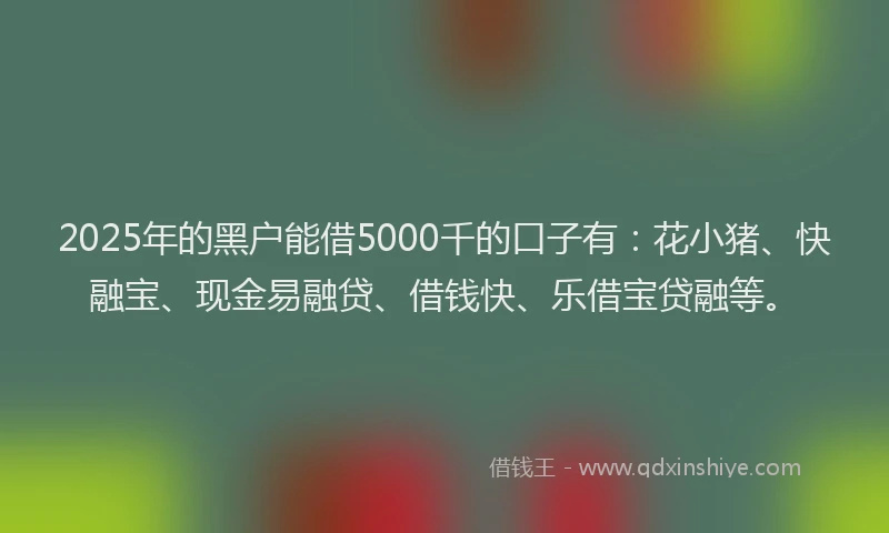 2025年的黑户能借5000千的口子有：花小猪、快融宝、现金易融贷、借钱快、乐借宝贷融等。