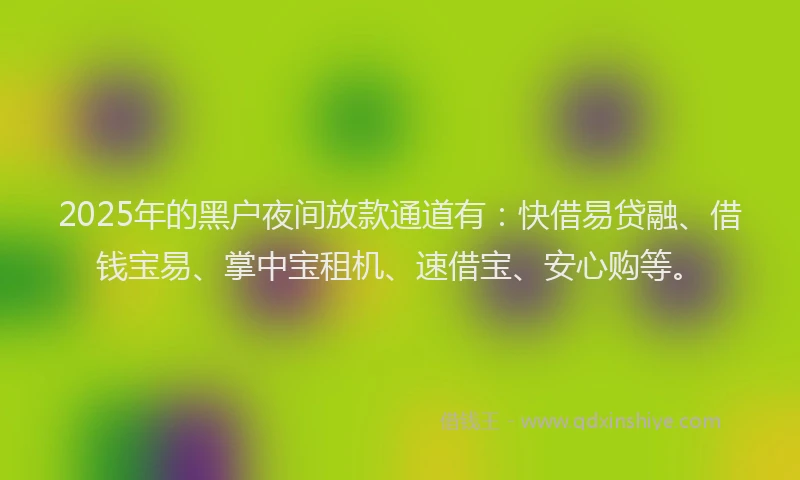 2025年的黑户夜间放款通道有：快借易贷融、借钱宝易、掌中宝租机、速借宝、安心购等。