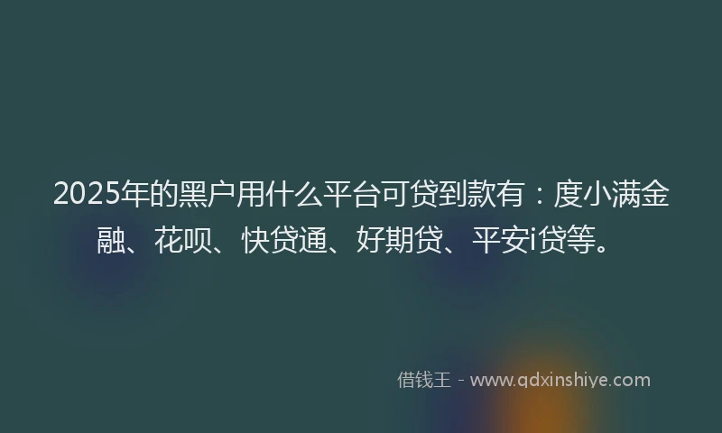 2025年的黑户用什么平台可贷到款有：度小满金融、花呗、快贷通、好期贷、平安i贷等。