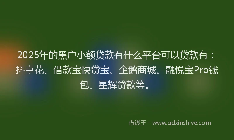 2025年的黑户小额贷款有什么平台可以贷款有：抖享花、借款宝快贷宝、企鹅商城、融悦宝Pro钱包、星辉贷款等。
