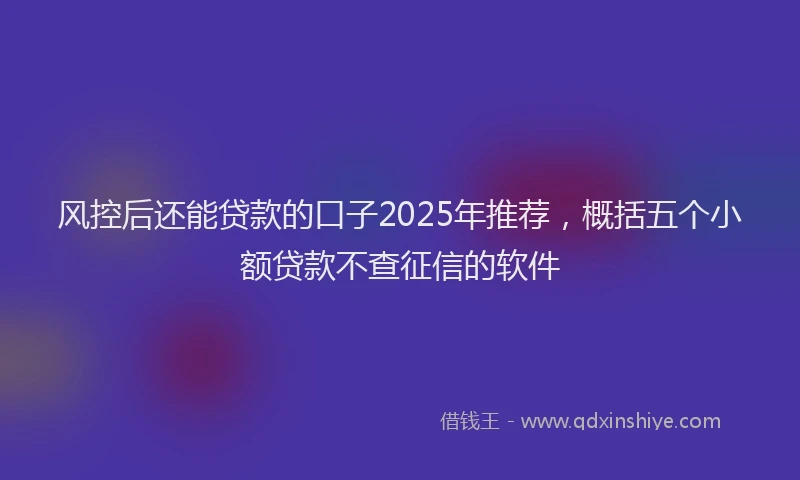 风控后还能贷款的口子2025年推荐，概括五个小额贷款不查征信的软件