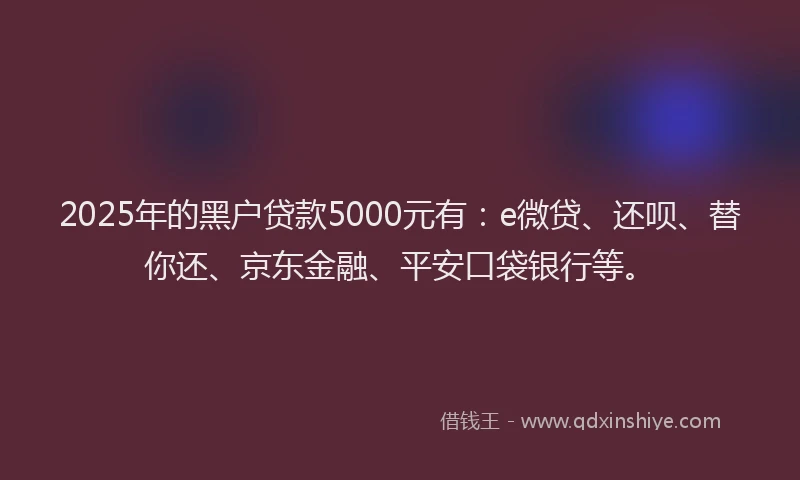 2025年的黑户贷款5000元有：e微贷、还呗、替你还、京东金融、平安口袋银行等。