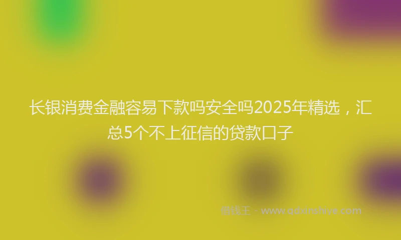 长银消费金融容易下款吗安全吗2025年精选，汇总5个不上征信的贷款口子