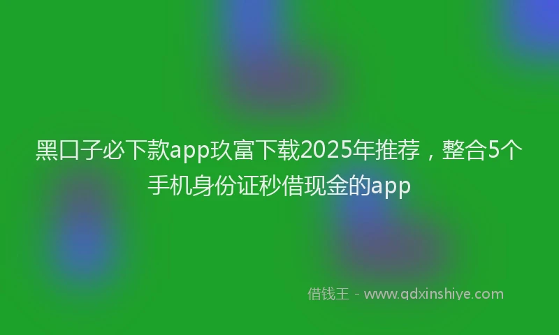 黑口子必下款app玖富下载2025年推荐，整合5个手机身份证秒借现金的app
