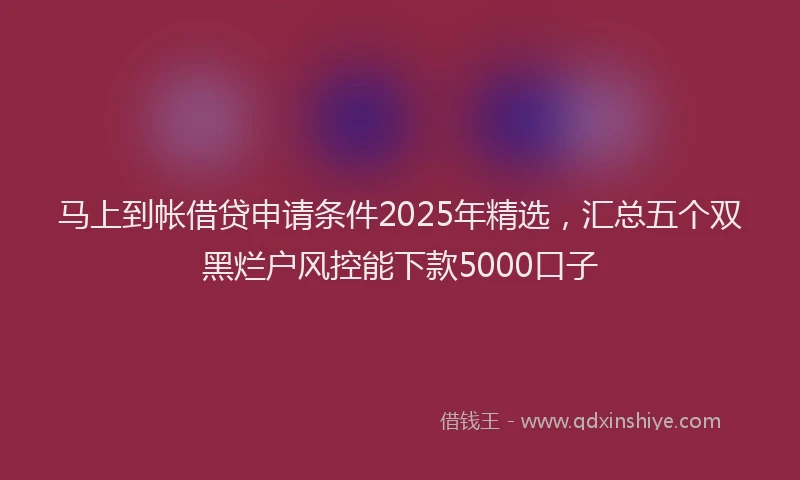 马上到帐借贷申请条件2025年精选，汇总五个双黑烂户风控能下款5000口子