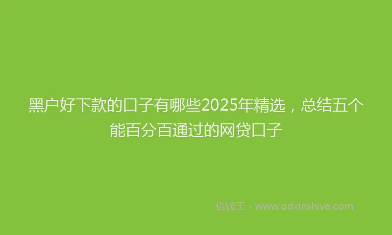 黑户好下款的口子有哪些2025年精选，总结五个能百分百通过的网贷口子