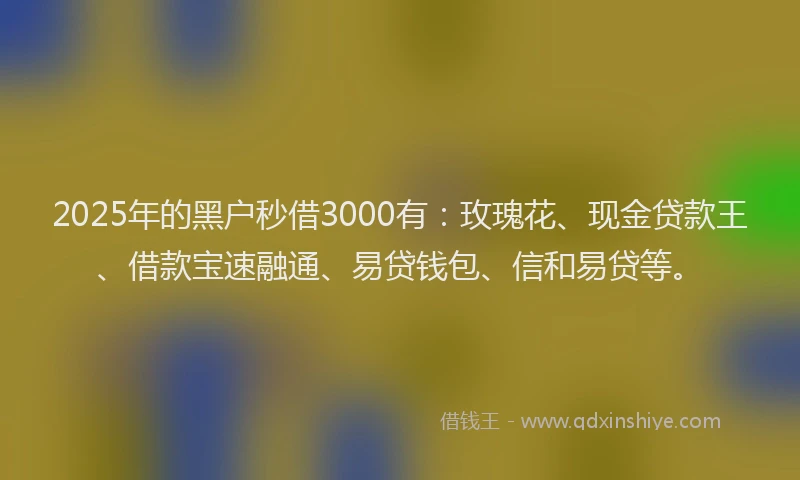 2025年的黑户秒借3000有：玫瑰花、现金贷款王、借款宝速融通、易贷钱包、信和易贷等。