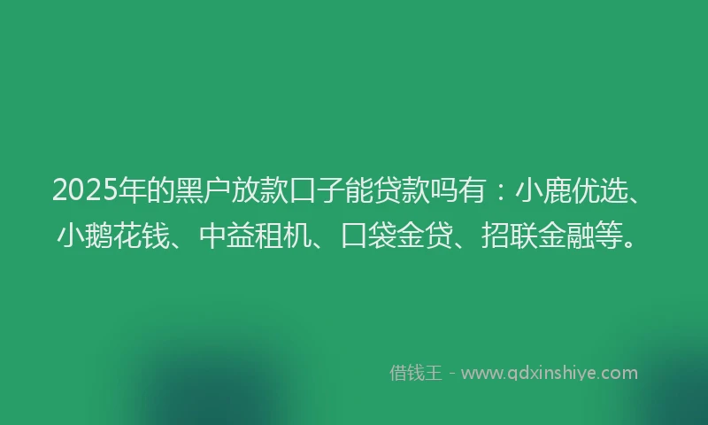 2025年的黑户放款口子能贷款吗有：小鹿优选、小鹅花钱、中益租机、口袋金贷、招联金融等。