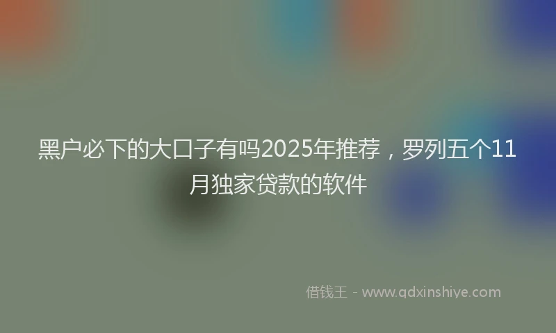 黑户必下的大口子有吗2025年推荐，罗列五个11月独家贷款的软件