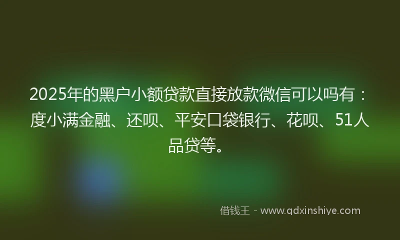 2025年的黑户小额贷款直接放款微信可以吗有：度小满金融、还呗、平安口袋银行、花呗、51人品贷等。