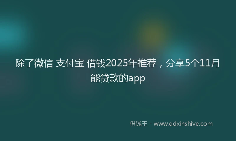 除了微信 支付宝 借钱2025年推荐，分享5个11月能贷款的app