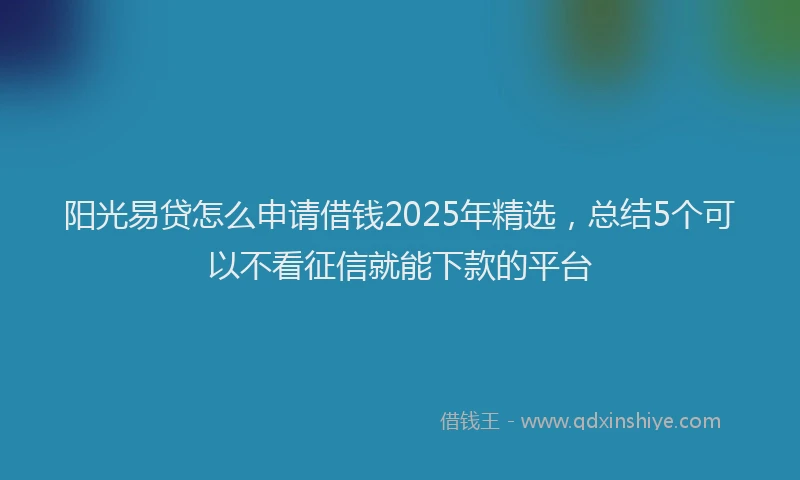 阳光易贷怎么申请借钱2025年精选，总结5个可以不看征信就能下款的平台