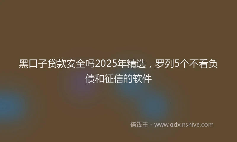 黑口子贷款安全吗2025年精选，罗列5个不看负债和征信的软件