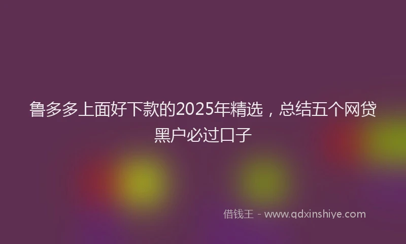 鲁多多上面好下款的2025年精选，总结五个网贷黑户必过口子