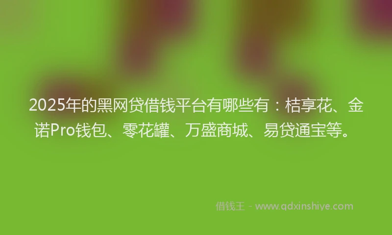 2025年的黑网贷借钱平台有哪些有：桔享花、金诺Pro钱包、零花罐、万盛商城、易贷通宝等。