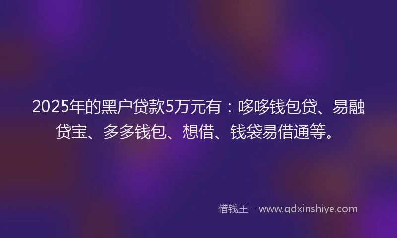 2025年的黑户贷款5万元有：哆哆钱包贷、易融贷宝、多多钱包、想借、钱袋易借通等。