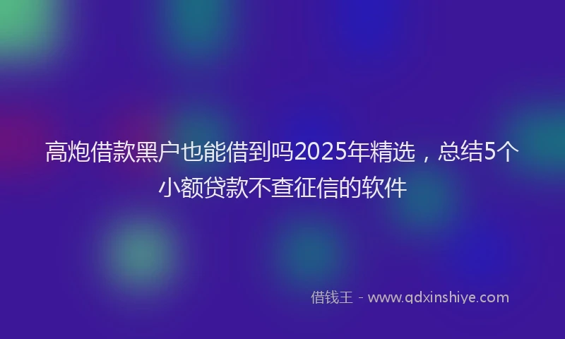 高炮借款黑户也能借到吗2025年精选，总结5个小额贷款不查征信的软件