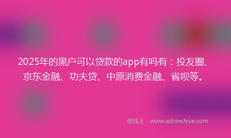 2025年的黑户可以贷款的app有吗有：投友圈、京东金融、功夫贷、中原消费金融、省呗等。