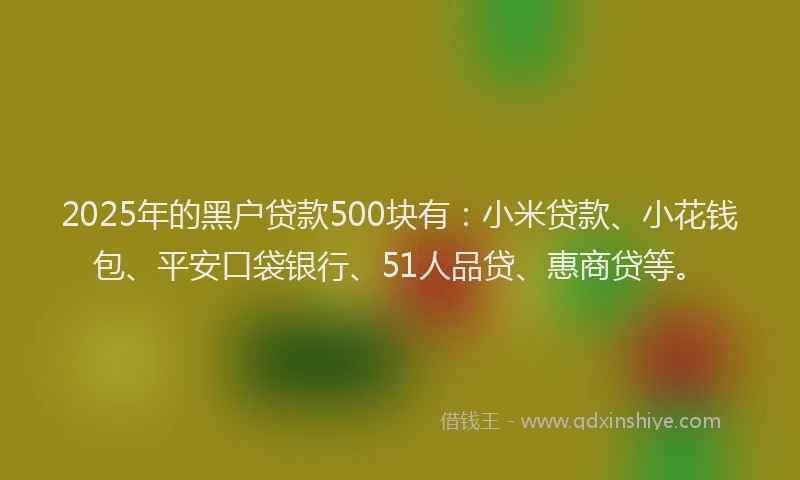 2025年的黑户贷款500块有：小米贷款、小花钱包、平安口袋银行、51人品贷、惠商贷等。