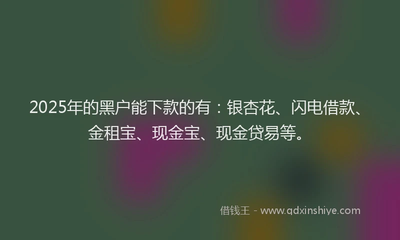 2025年的黑户能下款的有：银杏花、闪电借款、金租宝、现金宝、现金贷易等。