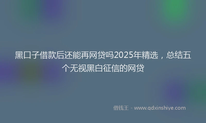 黑口子借款后还能再网贷吗2025年精选，总结五个无视黑白征信的网贷