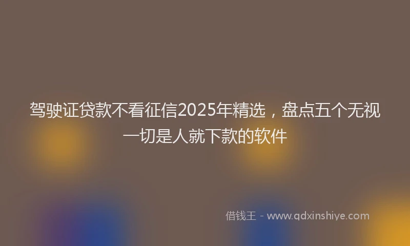 驾驶证贷款不看征信2025年精选，盘点五个无视一切是人就下款的软件