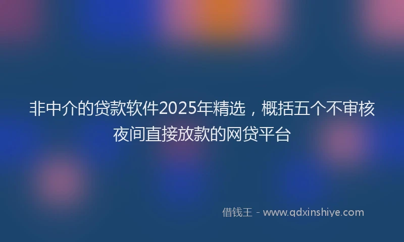 非中介的贷款软件2025年精选，概括五个不审核夜间直接放款的网贷平台