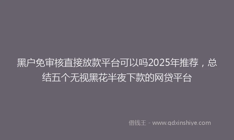 黑户免审核直接放款平台可以吗2025年推荐，总结五个无视黑花半夜下款的网贷平台