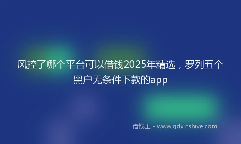 风控了哪个平台可以借钱2025年精选，罗列五个黑户无条件下款的app