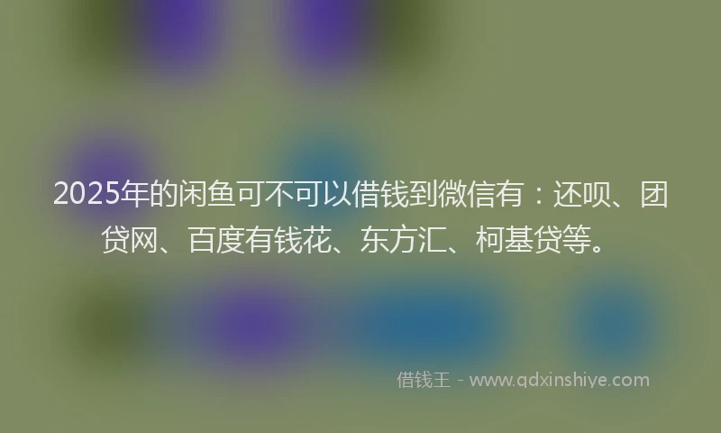 2025年的闲鱼可不可以借钱到微信有：还呗、团贷网、百度有钱花、东方汇、柯基贷等。