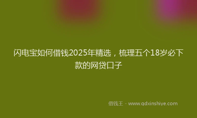 闪电宝如何借钱2025年精选，梳理五个18岁必下款的网贷口子