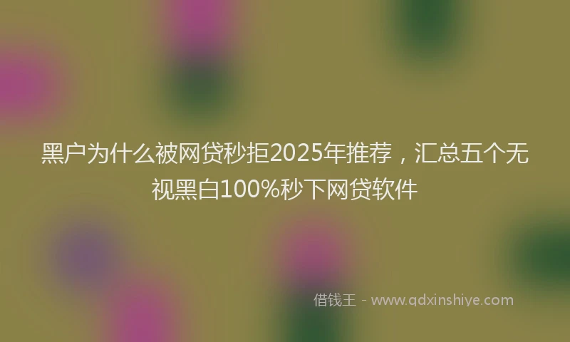 黑户为什么被网贷秒拒2025年推荐，汇总五个无视黑白100%秒下网贷软件